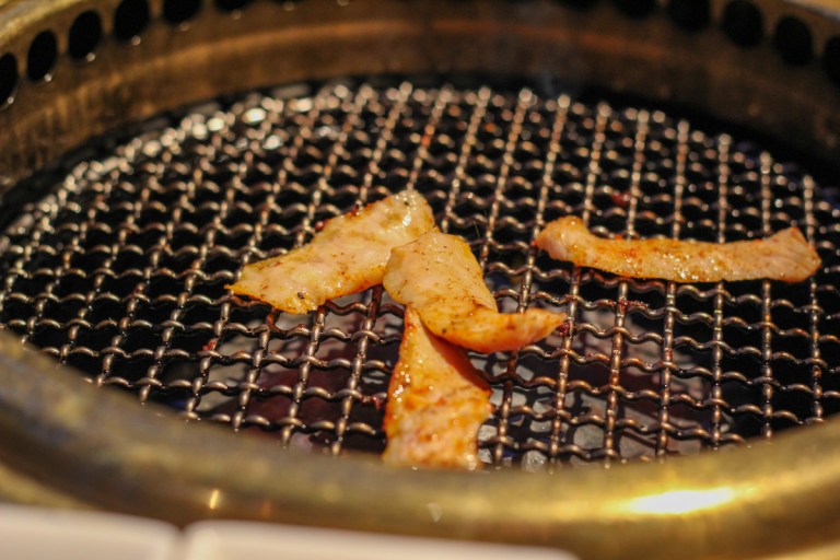 Magosaburou Grill Skirt