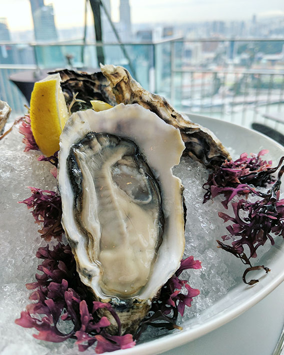 IMG_20170204_200208_310