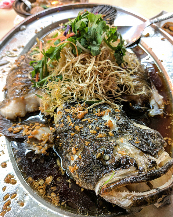 IMG_20170308_192209_988